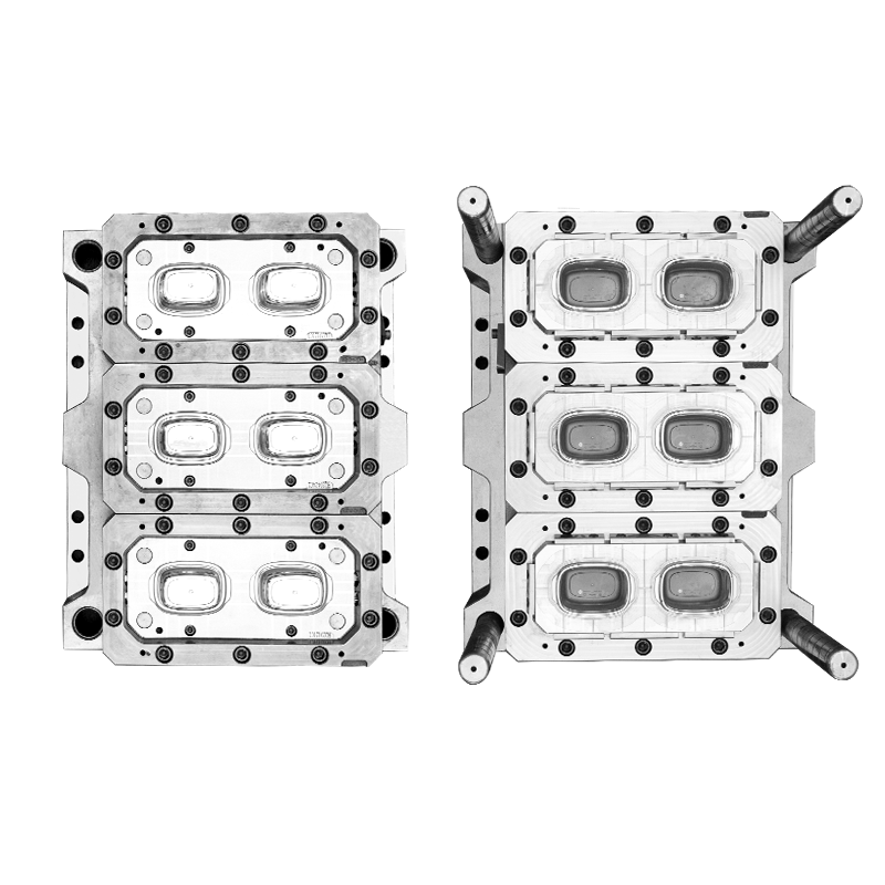 6CAV square crisper container mould